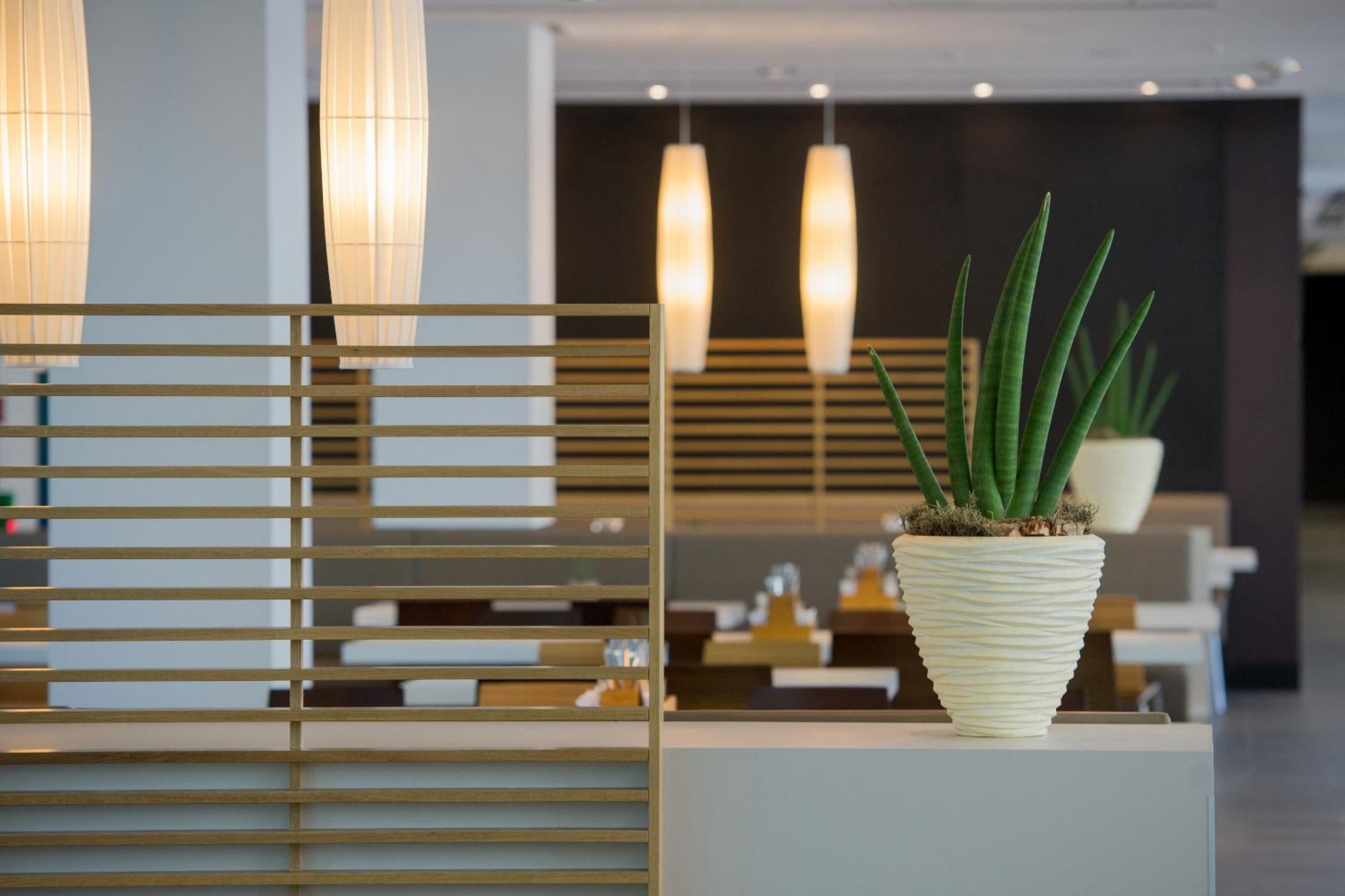 Lufthansa Seeheim - More Than A Conference Hotel Zewnętrze zdjęcie